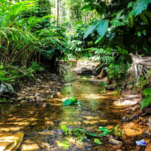 Home Details Home Details